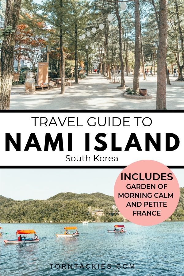 Travel Guide to Nami Island in South Korea