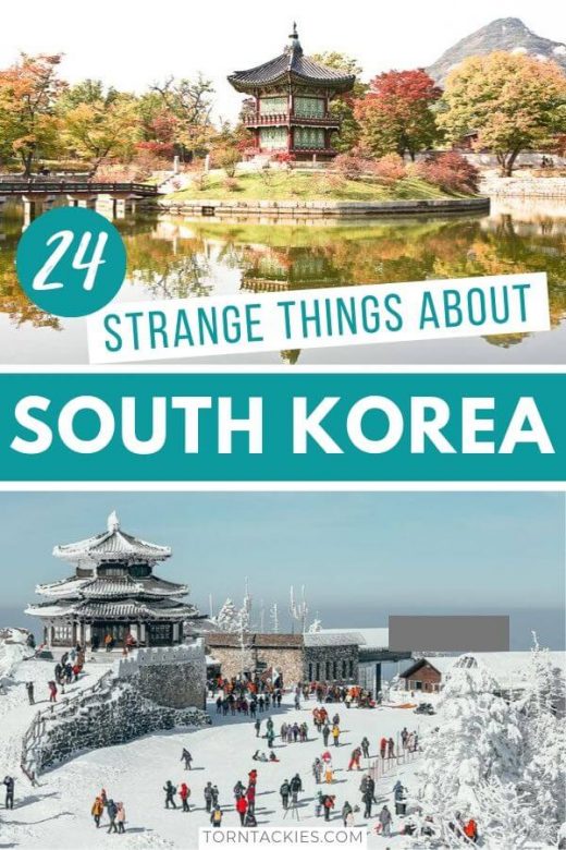 25+ Weird Things About Korean Culture [INSIDERS GUIDE]